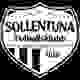 索伦蒂纳联logo