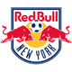 纽约红牛后备队logo